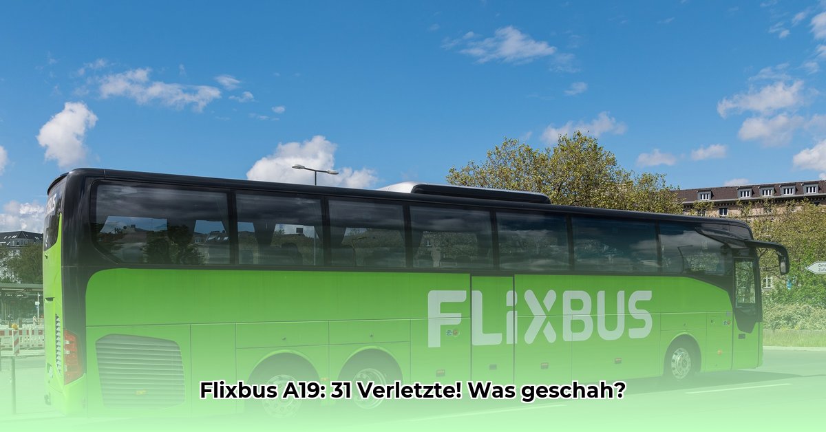 flixbus-unfall-a19